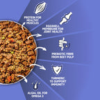 Norsh Chicken Casserole