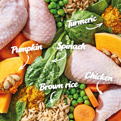 Norsh Chicken Casserole