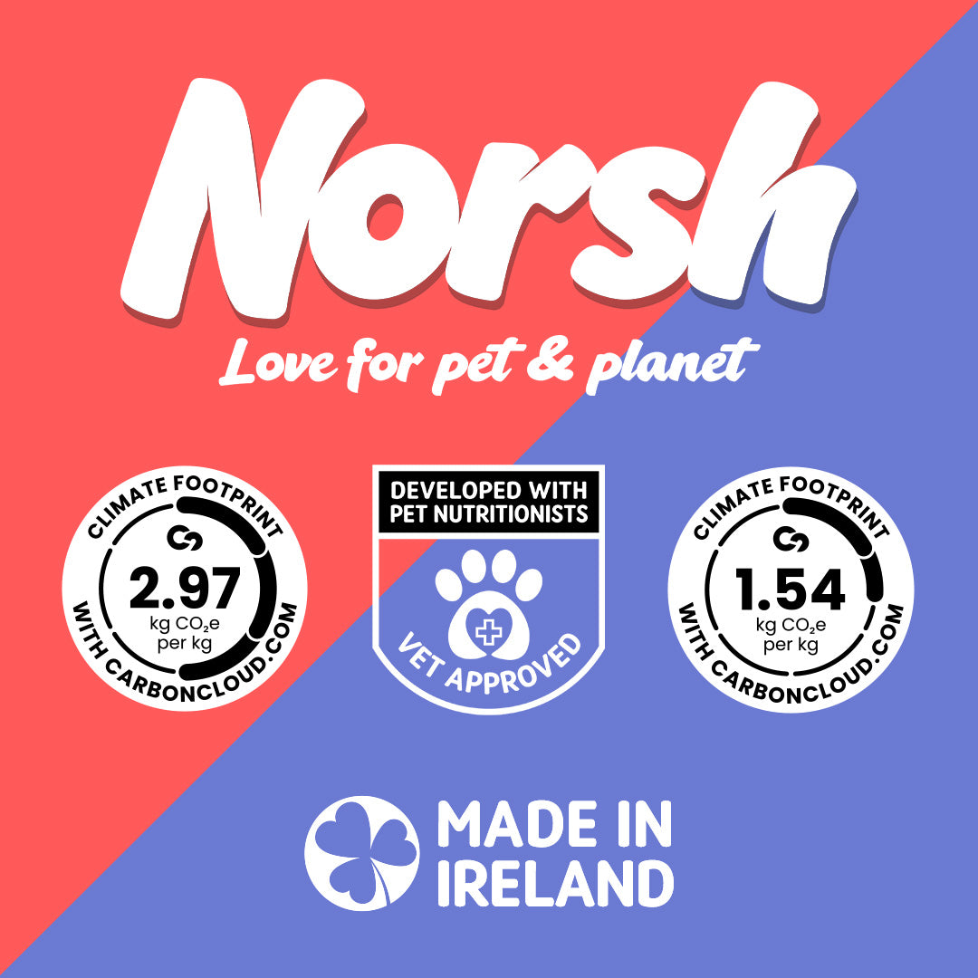 Norsh Comfort Classics